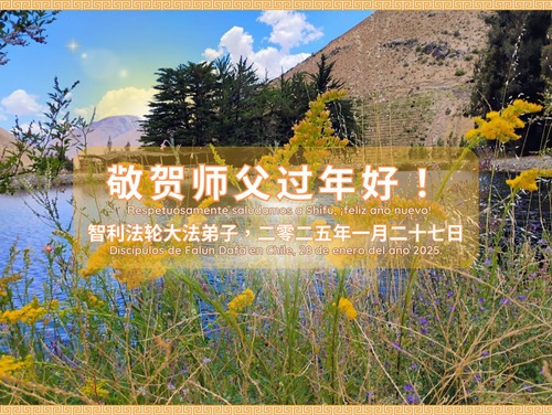 Image for article Falun Dafa Practitioners in Chile Respectfully Wish Master Li Hongzhi a Happy Chinese New Year