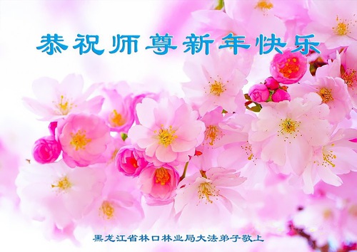 Image for article Falun Dafa Practitioners from Various Professions Wish Master Li a Happy New Year (29 Greetings)