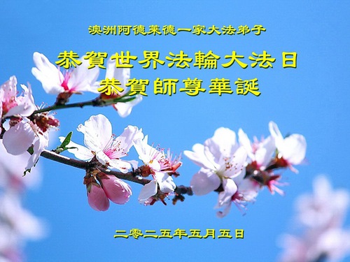 Image for article Falun Dafa Practitioners in Australia and New Zealand Celebrate World Falun Dafa Day