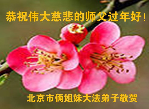 Image for article Falun Dafa Practitioners from Beijing Respectfully Wish Master Li Hongzhi a Happy Chinese New Year (18 Greetings)