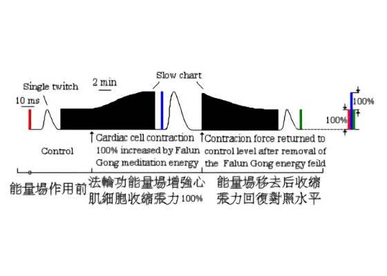 Image for article Cultivation Practice Shown to Improve People’s Bodies, Minds, and Energy