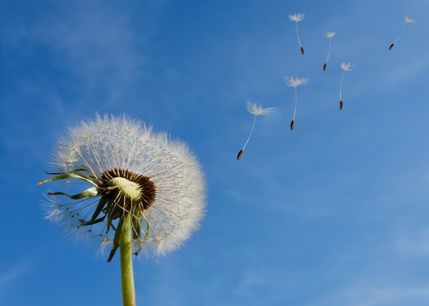 Image for article Practitioner’s Husband Impressed by Falun Dafa’s Values