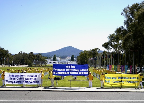 Image for article Canberra, Australia: Falun Dafa Practitioners Rally to Call for Legislators to Help End  the Chinese Communist Party’s Forced Organ Harvesting