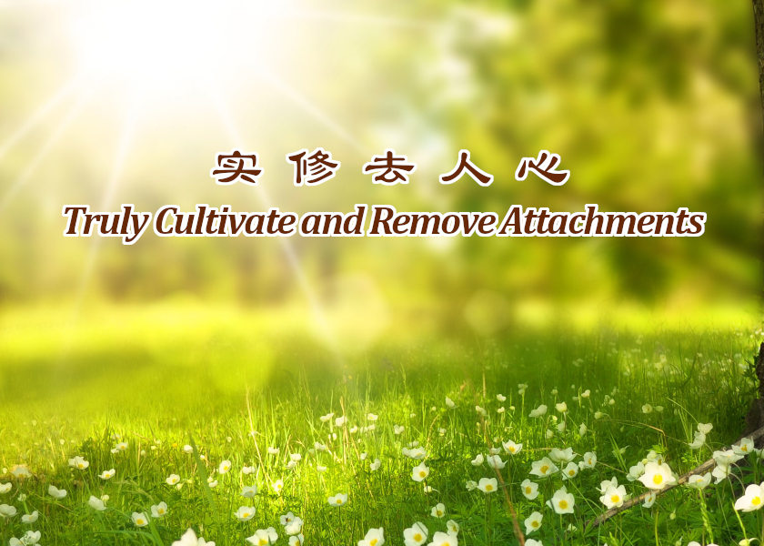 Image for article Practitioners Should Use Their Abilities to Meet the Challenges Falun Dafa Faces