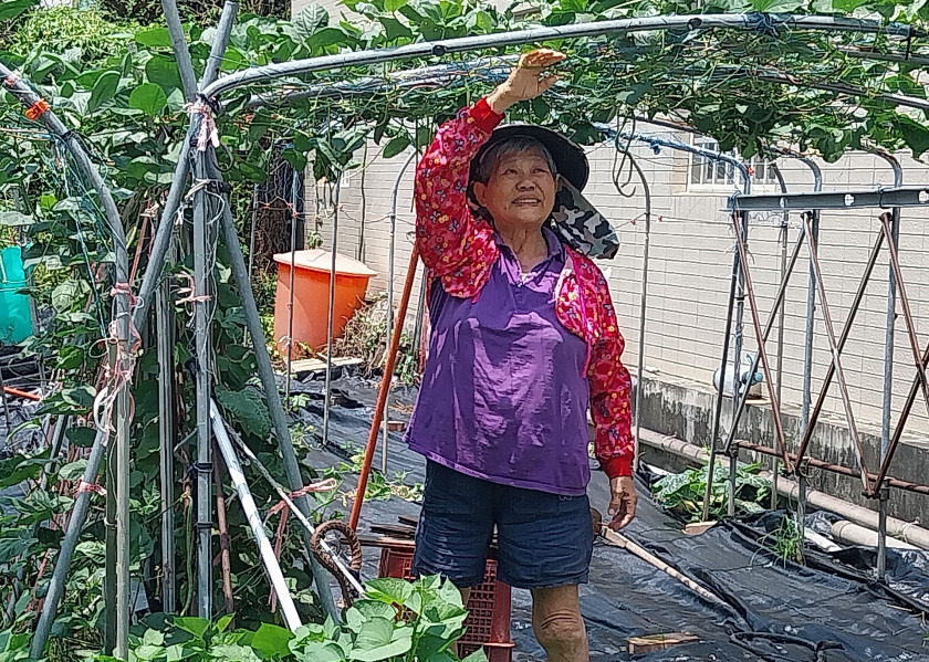 Image for article A Farmer Validates the Compassion and Wonder of Dafa