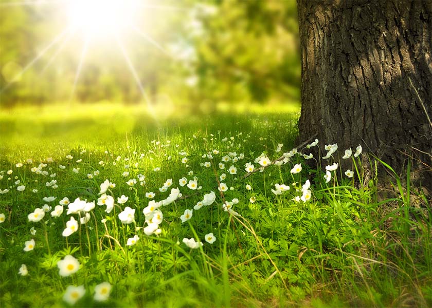 Image for article Falun Dafa Transformed My Life