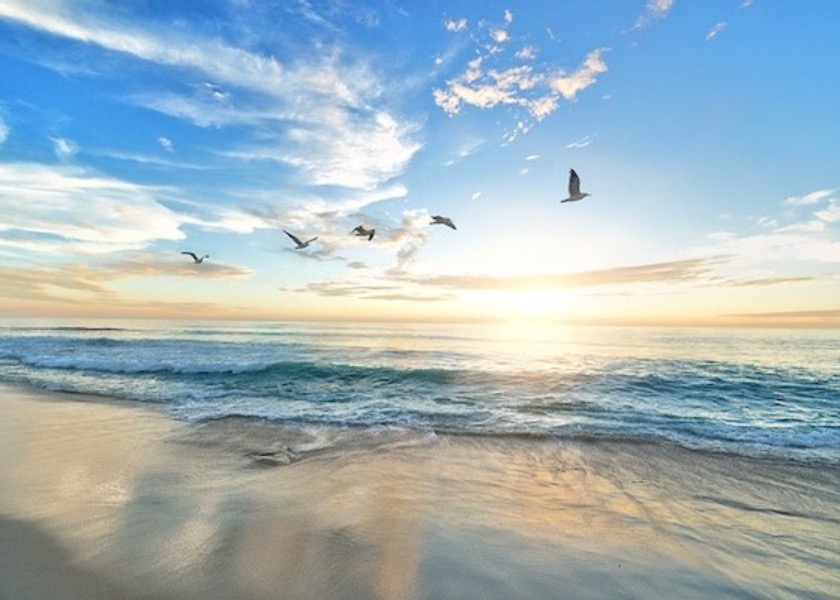 Image for article A Man Disabled by a Stroke Becomes the Pillar of the Family After Learning Falun Dafa