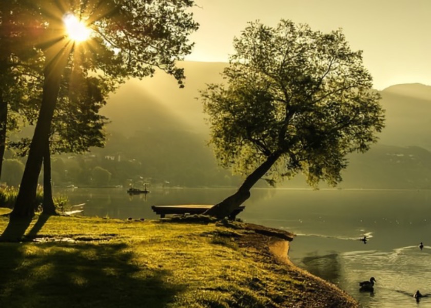 Image for article How My Stubborn Father-In-Law Finally Withdrew From the CCP