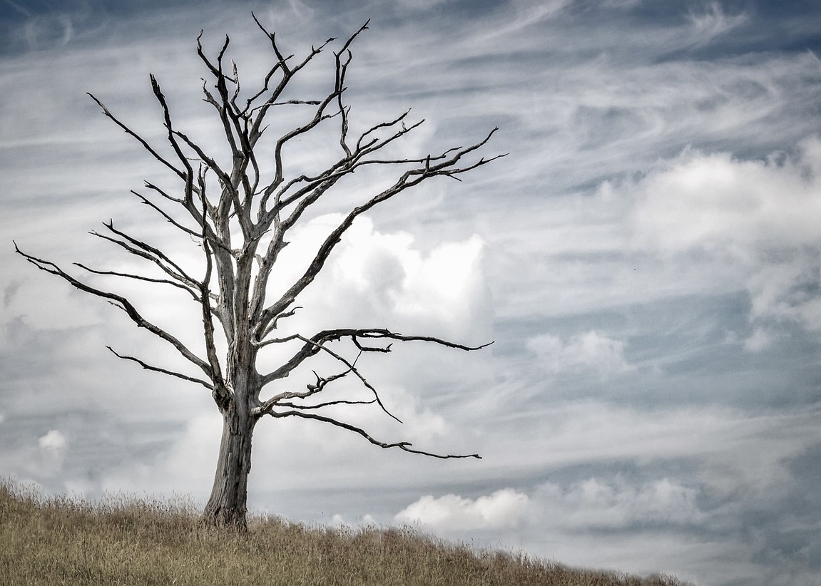 Image for article 45-Year-old Woman Dies Three Days After Prison Admission to Serve a 5-Year Term for Practicing Falun Gong