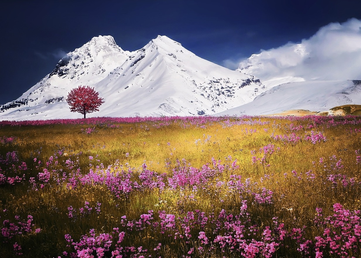 Image for article Returning to Dafa and Resuming Diligence in Cultivation