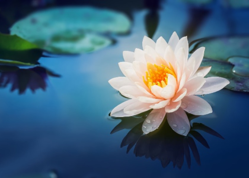 Image for article An Inmate Learns Falun Dafa in Prison