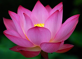 Image for article Cultivation Insights Gained from Photographing During the Shen Yun Tour