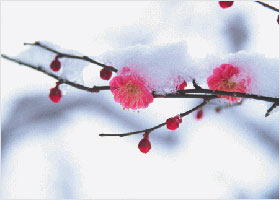 Image for article The Divine Blesses Those With Conscience: Thoughts on the US Senate’s Passing of S.4009